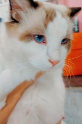 -兔猫ToMoreNails美甲美睫
