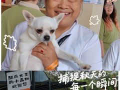 -大望京公园