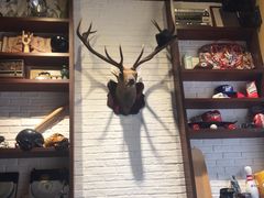 -万达广场(泰安泰山店)