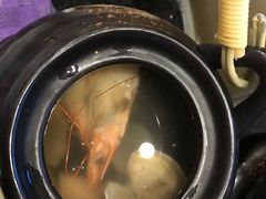 -营口金泰珑悦海景大酒店