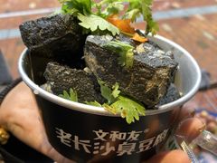 -董顺桃老长沙臭豆腐(步行街店)