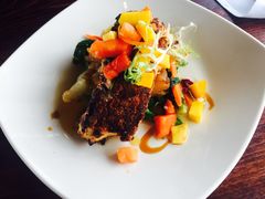 -Fish Hopper