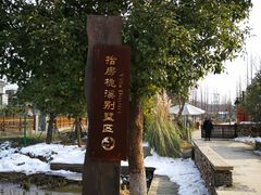 -田园东方蜜桃村的田野营地