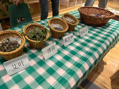 -宾果蒙特梭利托育儿童之家幼儿园(爱琴海店)