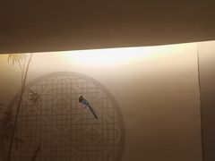 -华夏良子·足道SPA艾灸(翠微店)