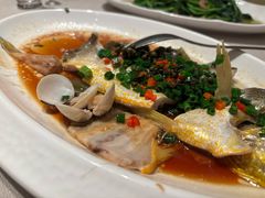 -码头见·潮汕菜(领展中心城店)
