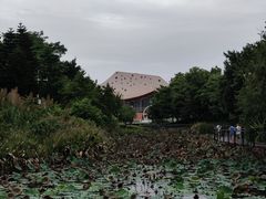 -映月湖公园
