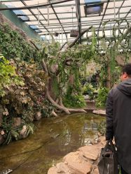 点击看大图 -城市花园婚纱摄影
