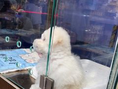 -FAELING PETS美天灵宠物(富力广场店)