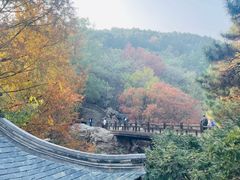 -国家植物园南园