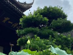 -宝光寺