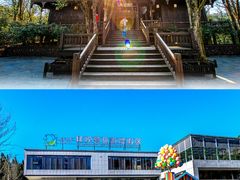 -恩施坪坝营国家森林公园景区