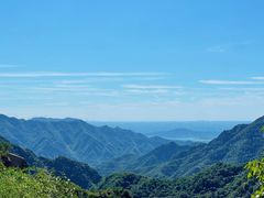 -大岭沟猕猴桃谷风景区