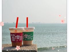 -南澳岛打卡果汁冰公司