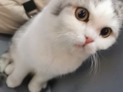 -极木²邸 人与宠物·互动社区