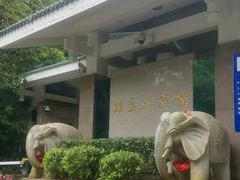 -福建鲤鱼洲酒店