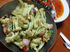 -全乐鱼馆·淳牌有机鱼直营店