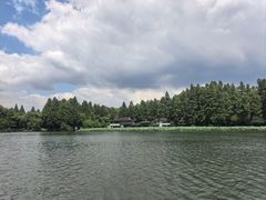 -西湖游船