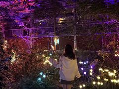 -南山植物园