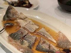 陈年花雕蒸鲥鱼-福1088