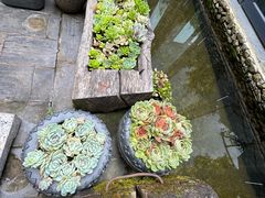 -炊烟餐厅