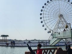 -秦皇岛乐岛海洋王国