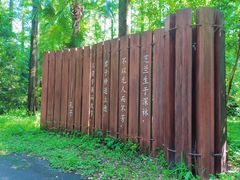 -东平国家森林公园