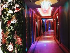 -纯K(打浦桥店)