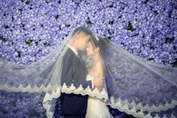 -1986婚纱摄影(清城店)