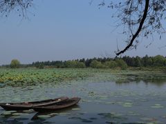 -洪湖生态旅游区