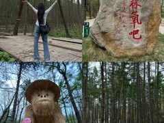 -洛阳白云山景区