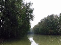 -大湾区中央湿地公园