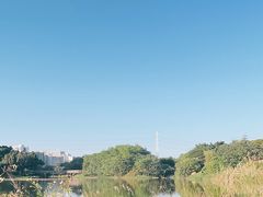 -广东花都湖国家湿地公园