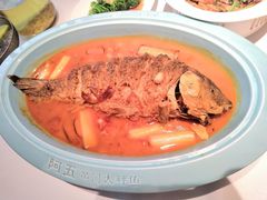 -阿五黄河大鲤鱼(英协路店)