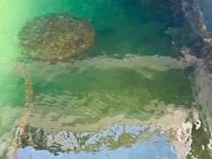 -珍珠港国家纪念馆