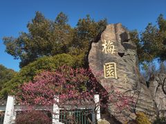 -无锡梅园公园