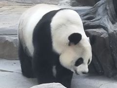 -宁波野生动物园