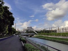 -福田红树林生态公园
