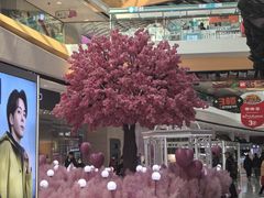 -融创茂(哈尔滨店)