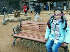 -岚山猴子公园