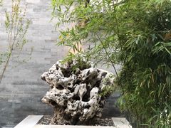 -北京古城老院厉晓麟精致菜