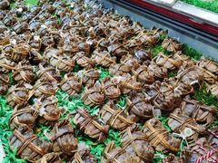 -盒马鲜生(宝地店)