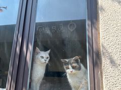 -蒋家桥饺面店(东关街店)
