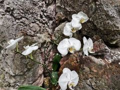 -南通洲际绿博园