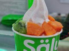 -Salud撒露欧洲冻酸奶(五道口购物中心店)