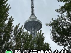 -龙塔