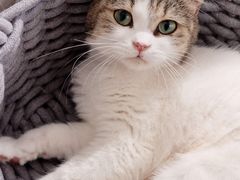 -怪兽屋·羊驼·猫咖·狗咖(俊华广场店)