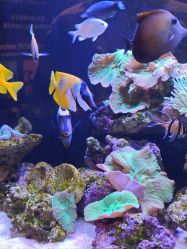 -Zoolung Zoolung动物主题公园(海信广场店)