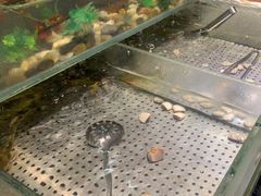 -相约海中金海鲜肥牛自助烤肉火锅(上下九店)