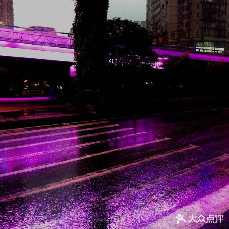 重庆森林2